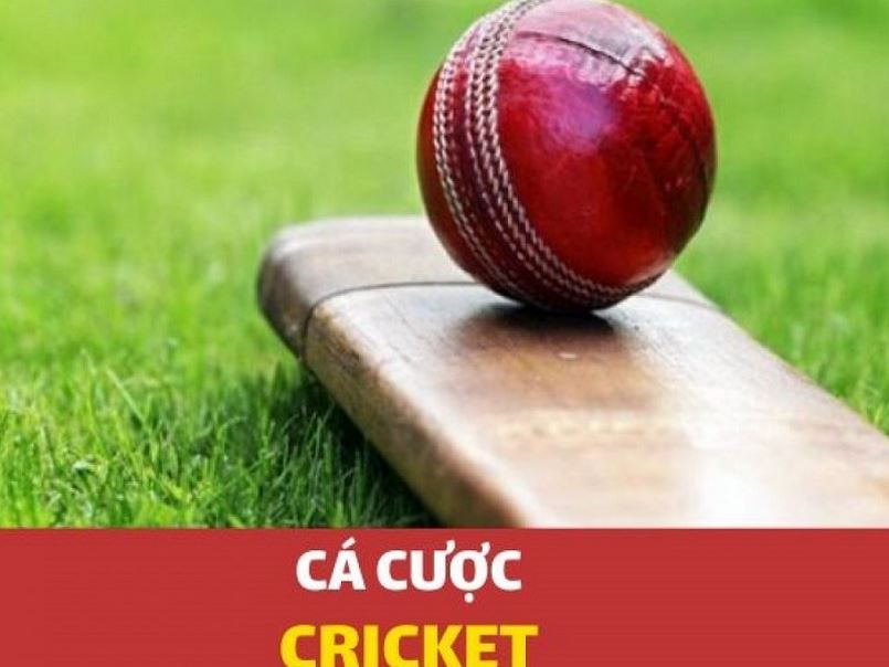 Tìm hiểu về trò chơi Cricket